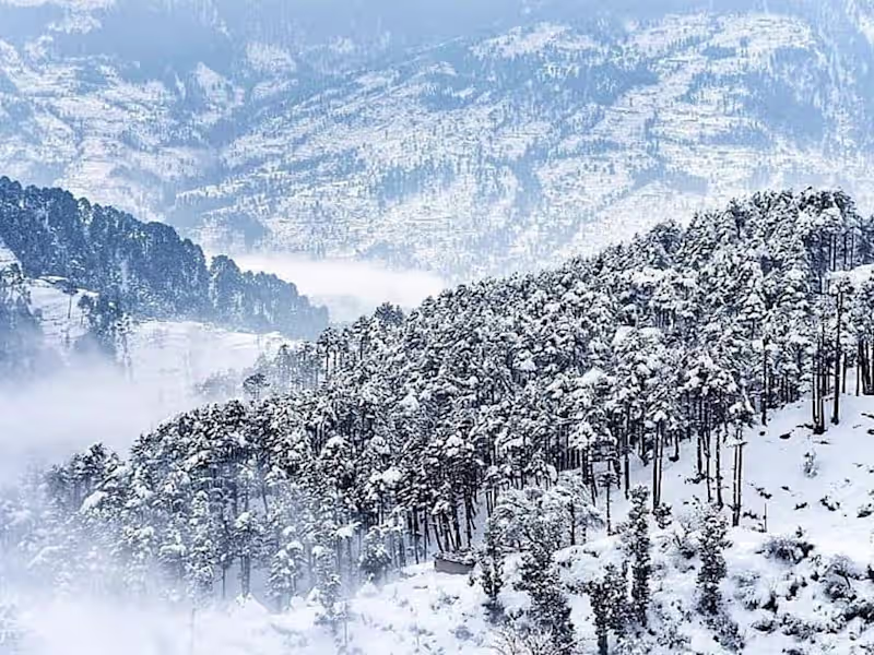 Cover image for GRAPHIC DESIGN