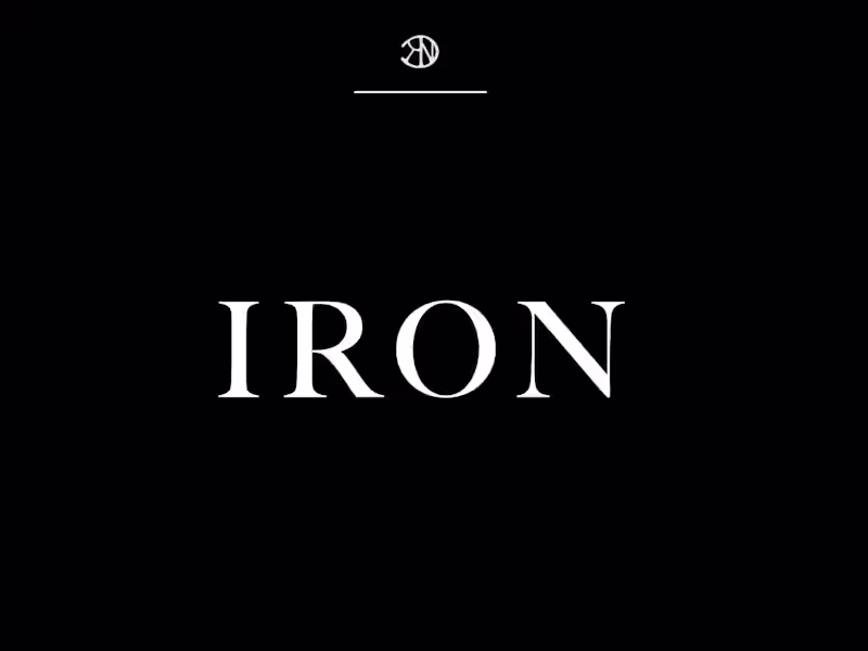 Cover image for IRON USA