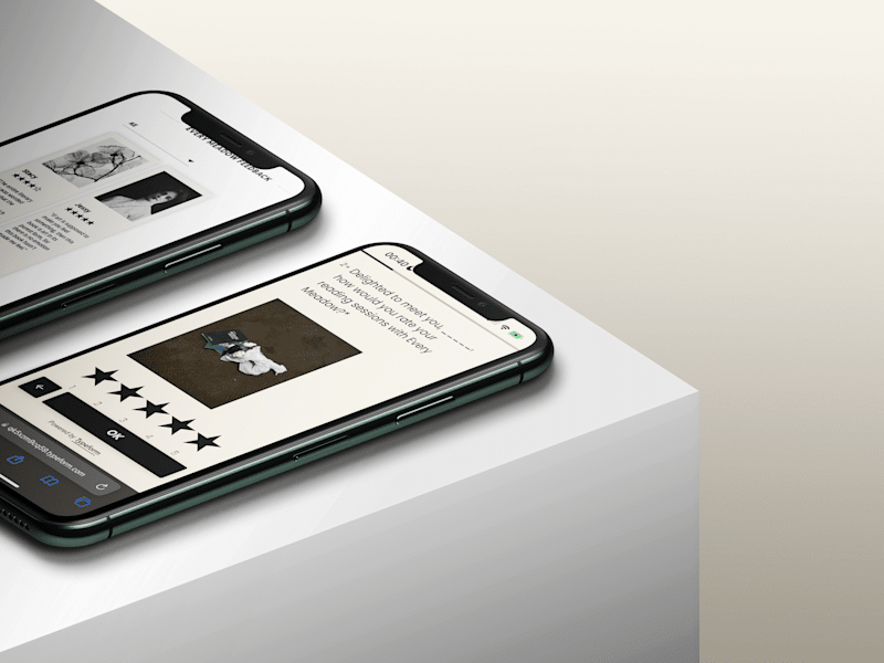 Cover image for The Design or Write-Up Consultation