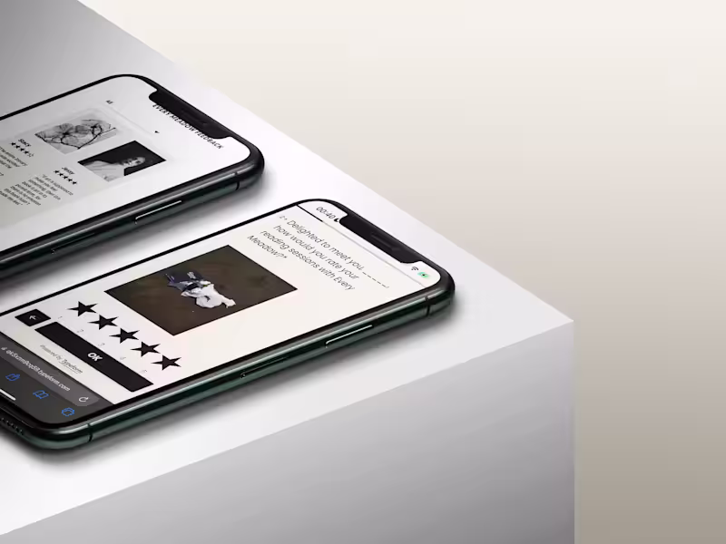 Cover image for The Design or Write-Up Consultation