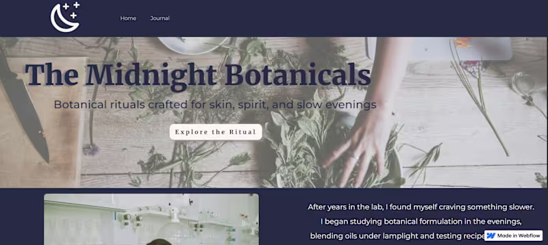 Cover image for FULL WEBFLOW WEBSITE – UP TO 5 PAGES