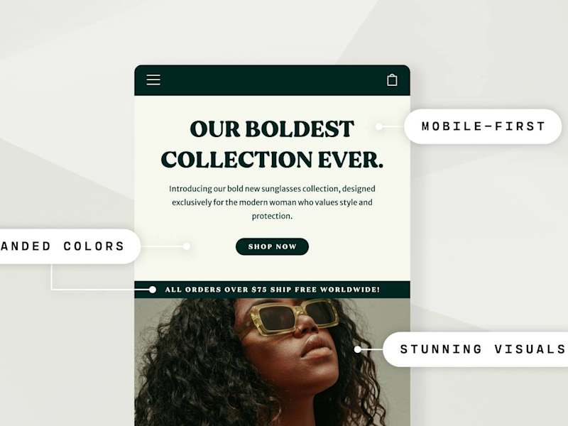 Cover image for Instant Design & Development Shopify Website