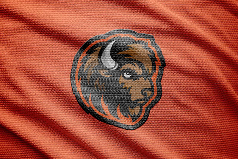 Cover image for Buffalo Mascot Logo 