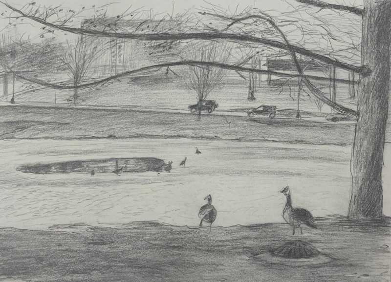 Cover image for Lake Laverne