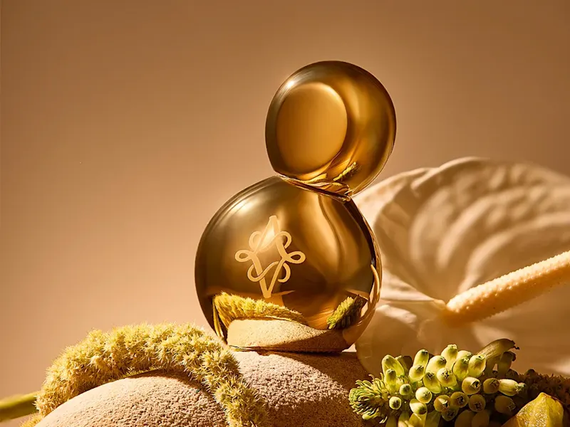 Cover image for Aeston West Branding and Packaging 