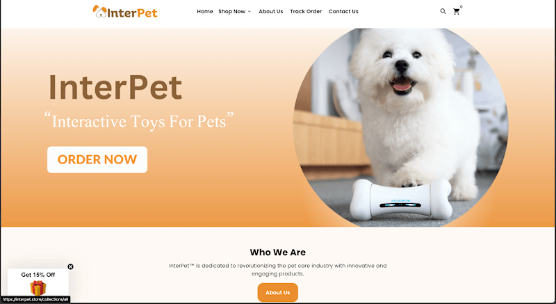 Cover image for Shopify Store Design