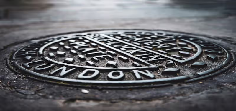 Cover image for London’s Great Stink