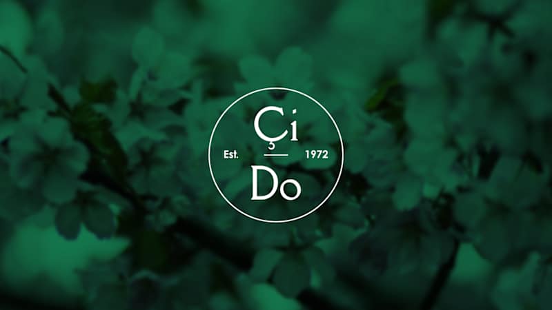 Cover image for Modern Logo Design