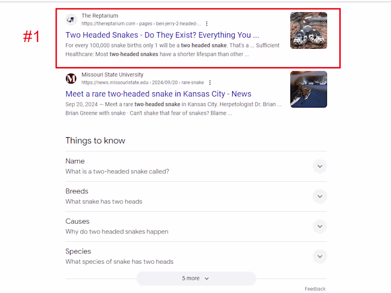 Cover image for 200% growth in organic traffic in 5 months