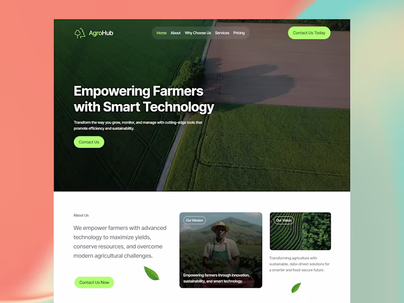 Cover image for Website Design and Development