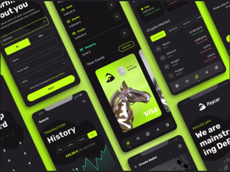 Cover image for Paycer