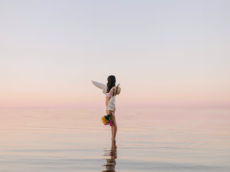 Cover image for Portfolio