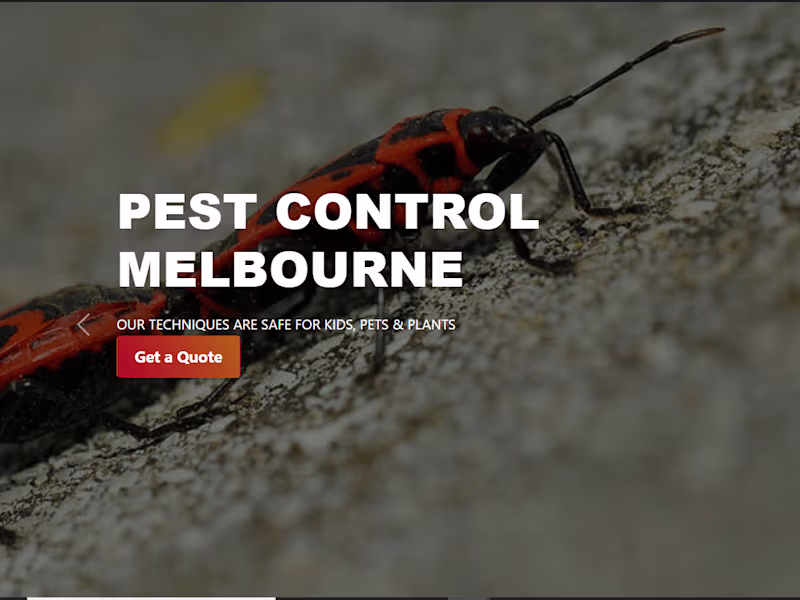 Cover image for Pest Control Melbourne - Melbourne’s Best Pest Control Services