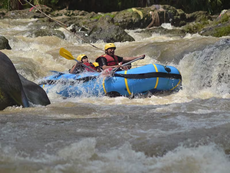 Cover image for Build company profile or other