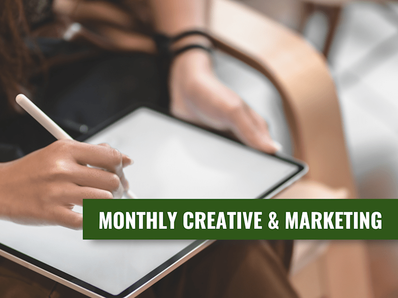 Cover image for Monthly Creative & Marketing Retainer for eComm Brands