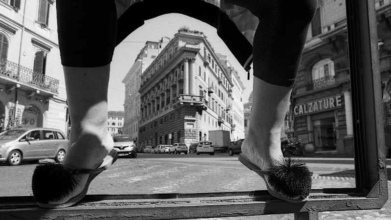 Cover image for The Freedom to See Rome Anew