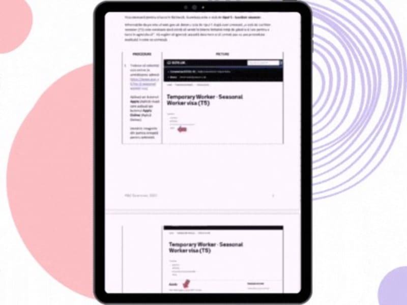 Cover image for Translating the UK Visa Application Process to Romanian