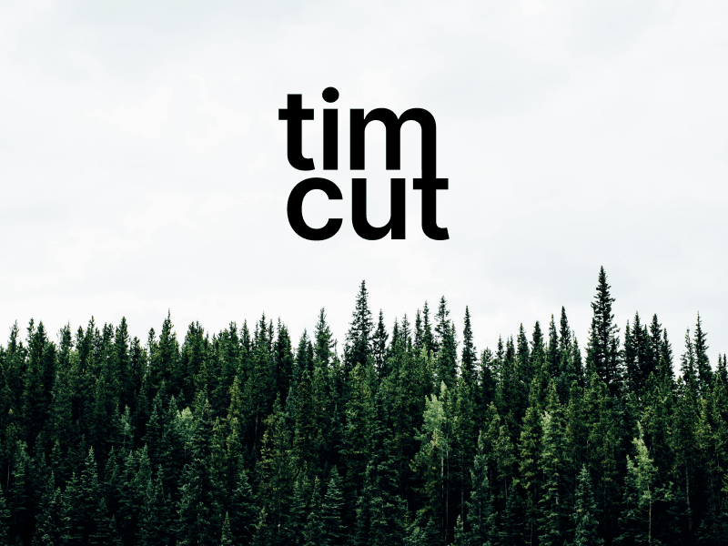 Cover image for Timcut 