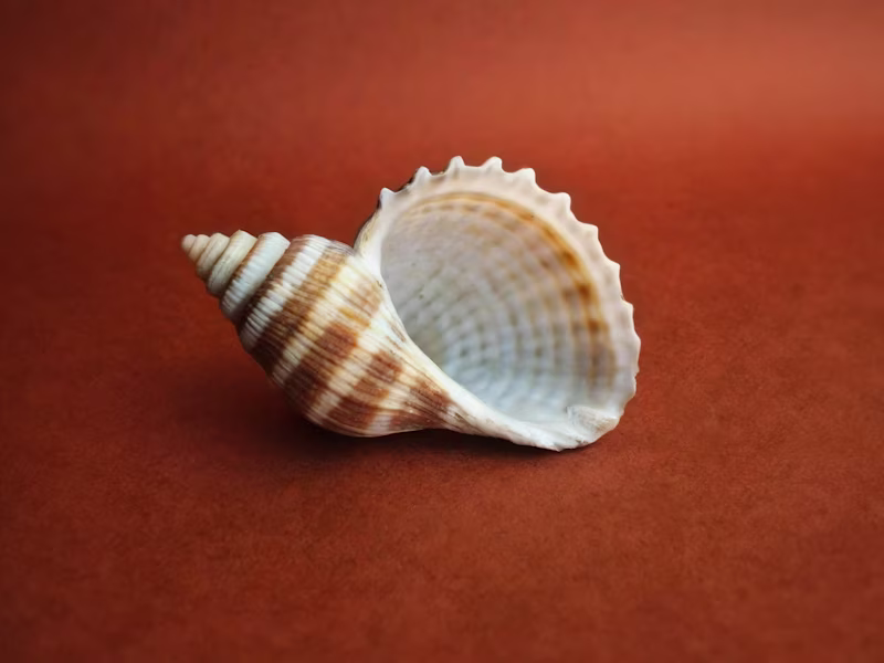 Cover image for Start-Up Branding