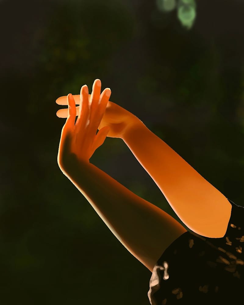 Cover image for Light & Color Study