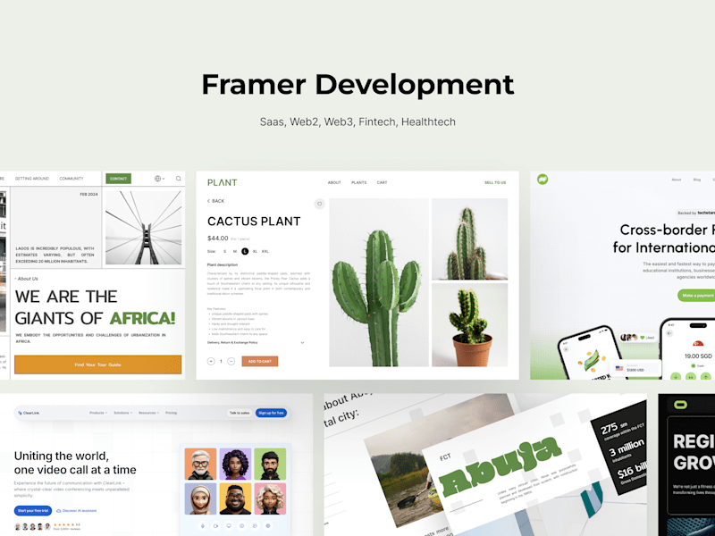 Cover image for Framer Development
