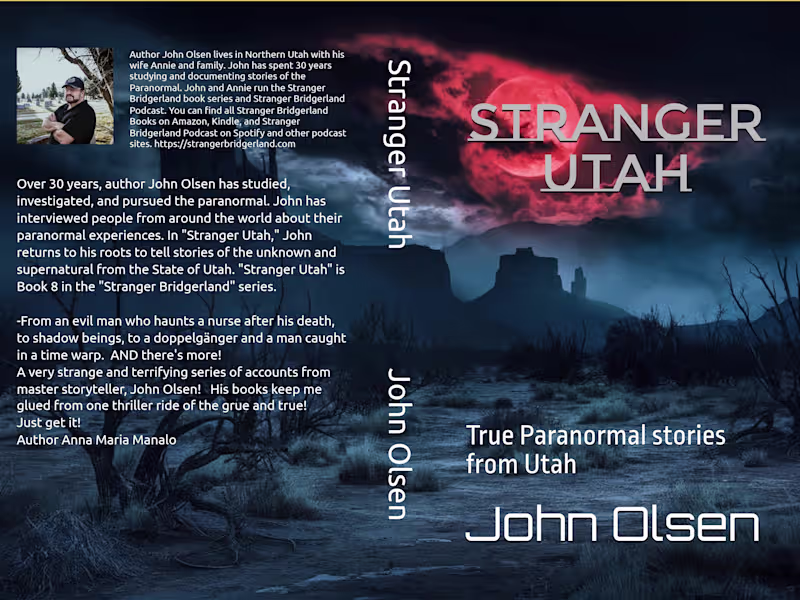 Cover image for Author of Stranger Bridgerland Book Series