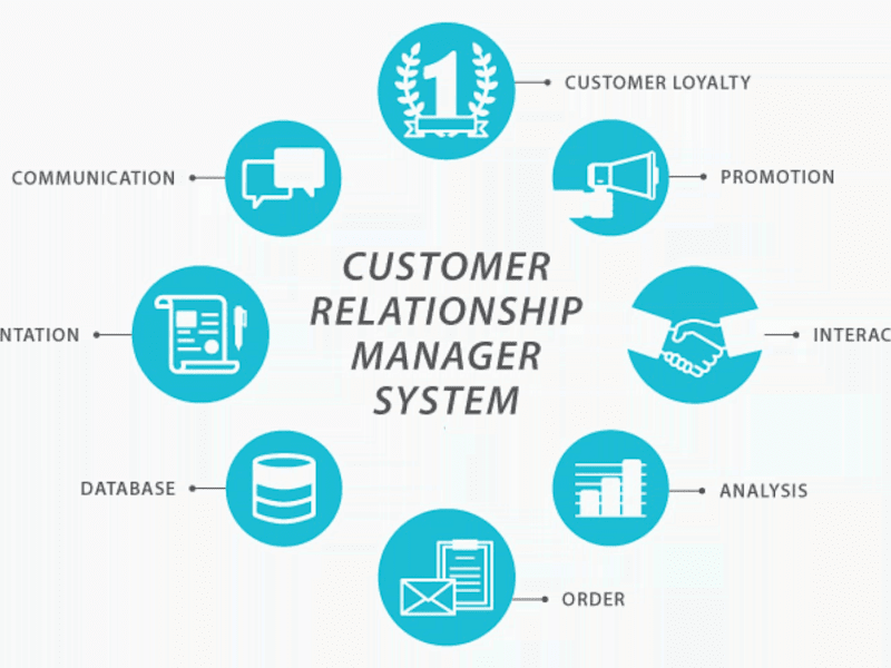 Cover image for Customer Relationship Management