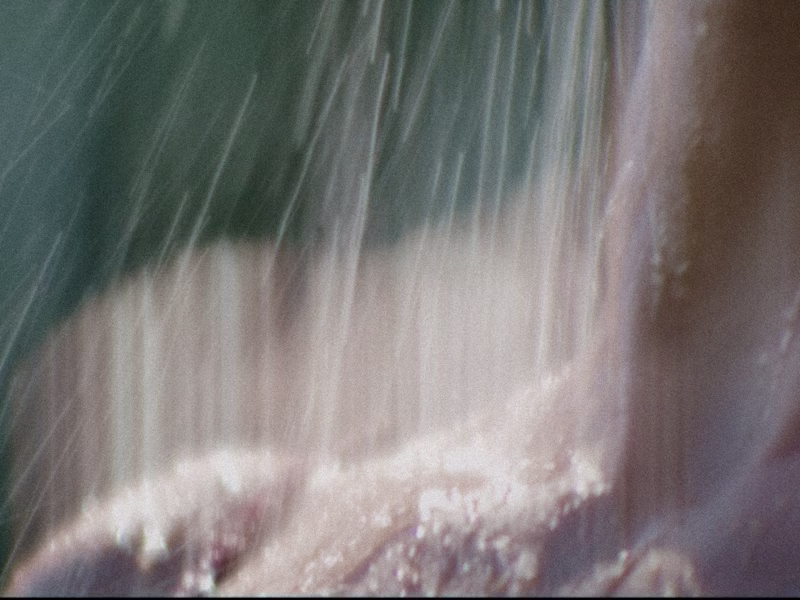 Cover image for A collaboration with a brand-new