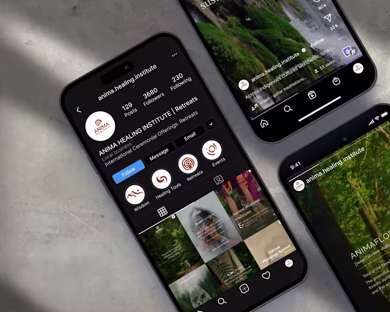 Cover image for Anima Healing Institute - Rebranding and Content Strategy