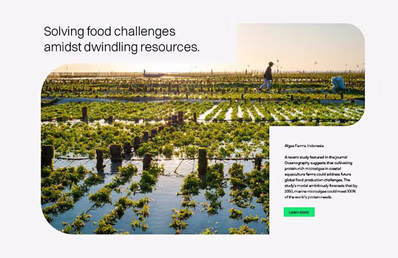 Cover image for Brand Collateral / Brand Add-Ons