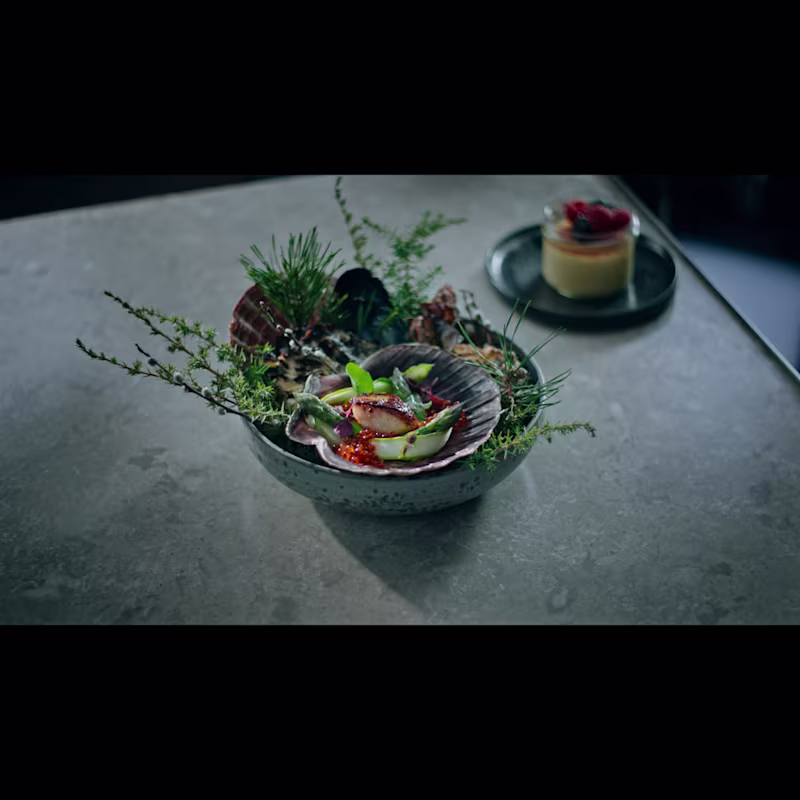 Cover image for Commercial Color Grading #1