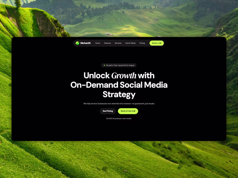 Cover image for  Marketing Agency Landing Page - NicheLift