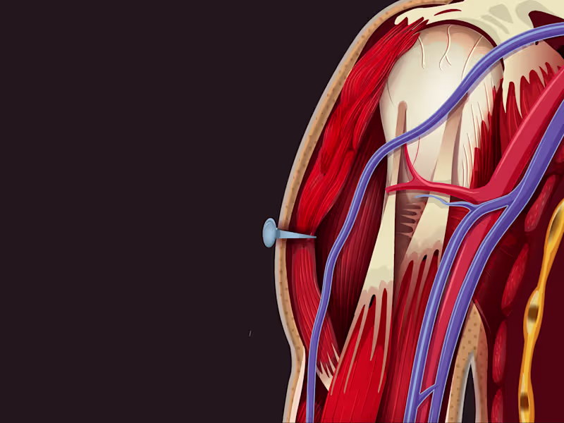 Cover image for Scientific & Educational Illustration