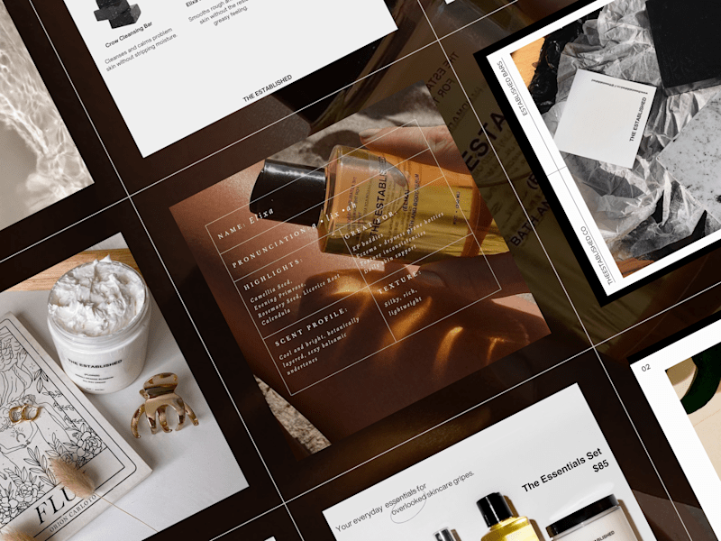 Cover image for Social Media Content Creation for The Established 