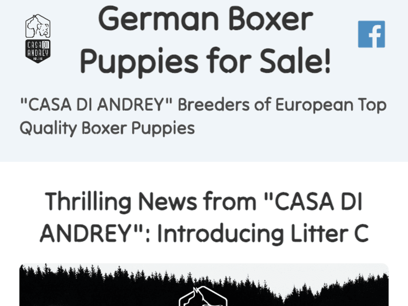 Cover image for Kennel Website