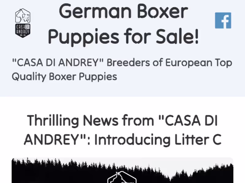 Cover image for Kennel Website