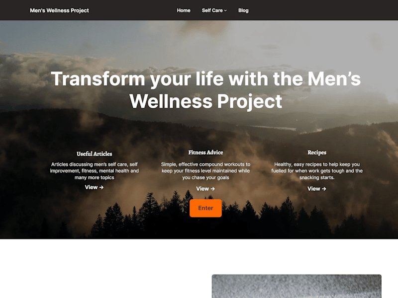 Cover image for WordPress blog site development