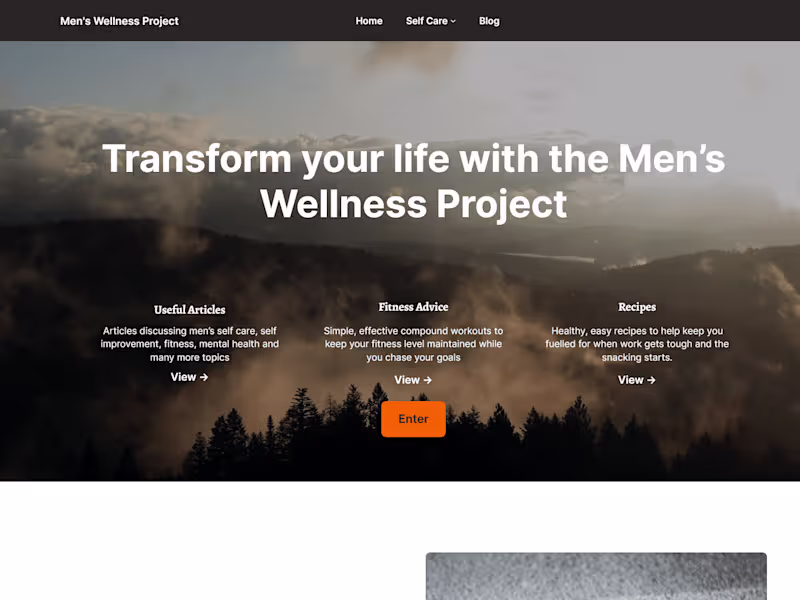 Cover image for WordPress blog site development
