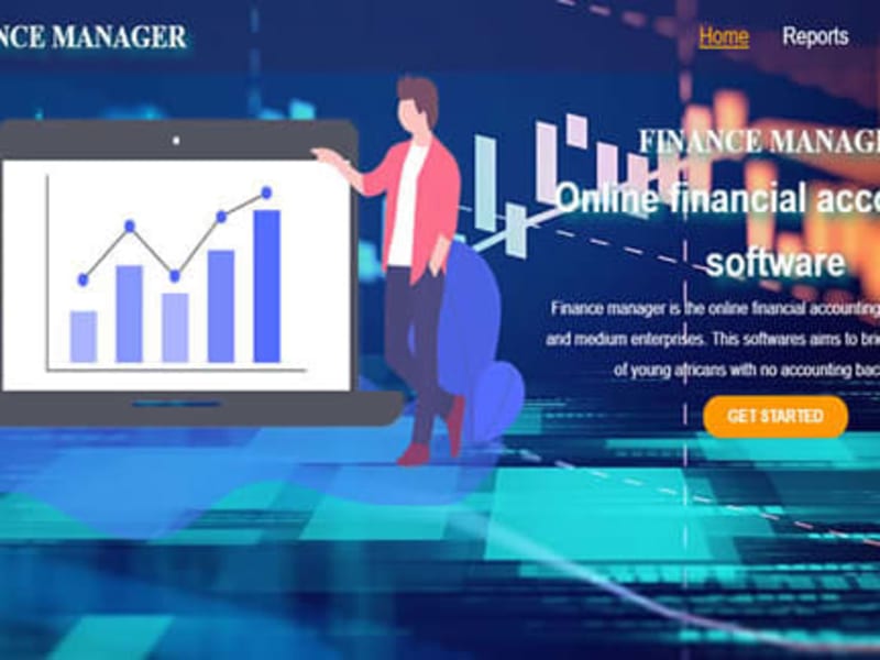 Cover image for Finance manager