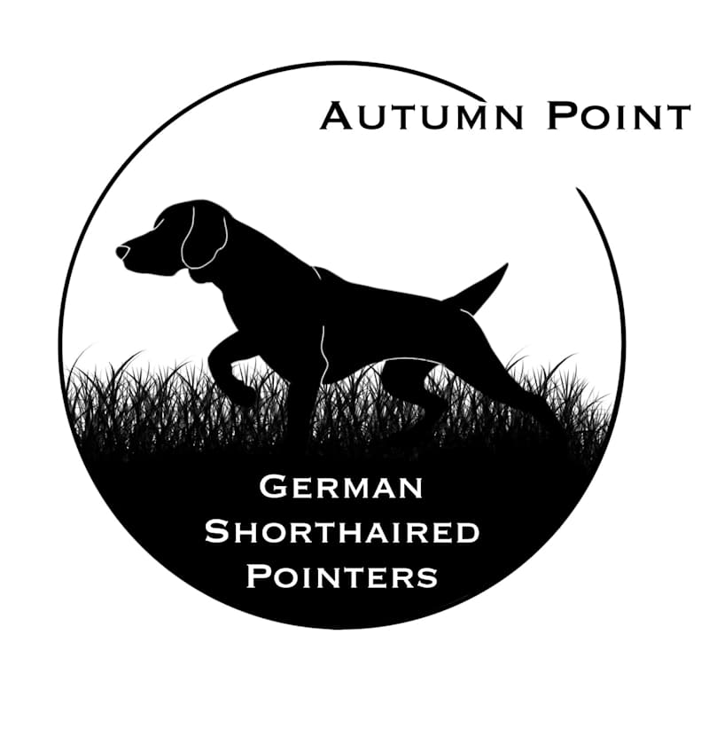 Cover image for Autumn Point Logo