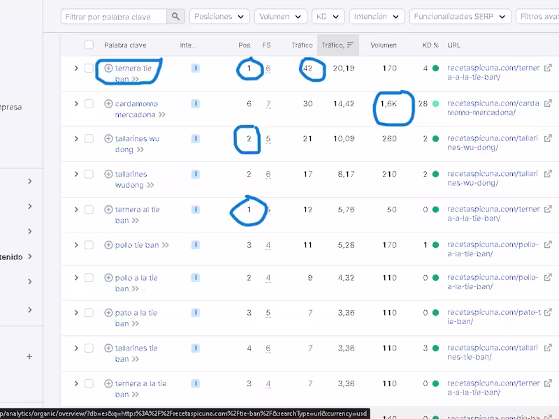 Cover image for Especialista en SEO on page anf off page