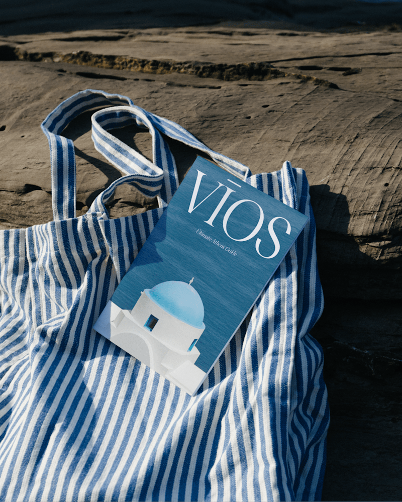 Cover image for Custom web design | development for VIOS 