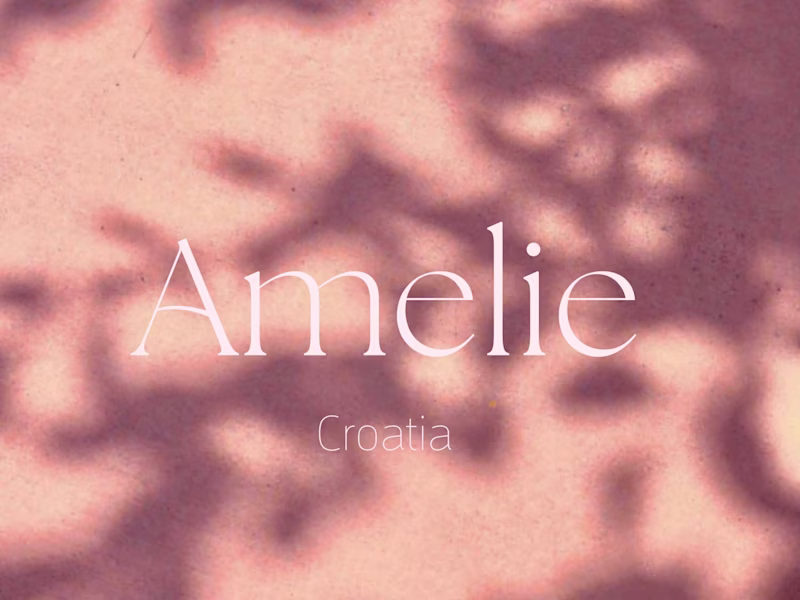 Cover image for Amelie