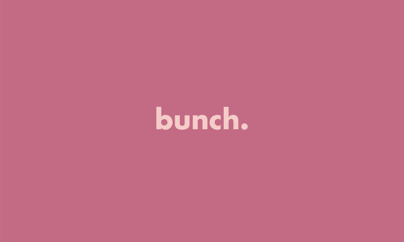 Cover image for bunch brand identity