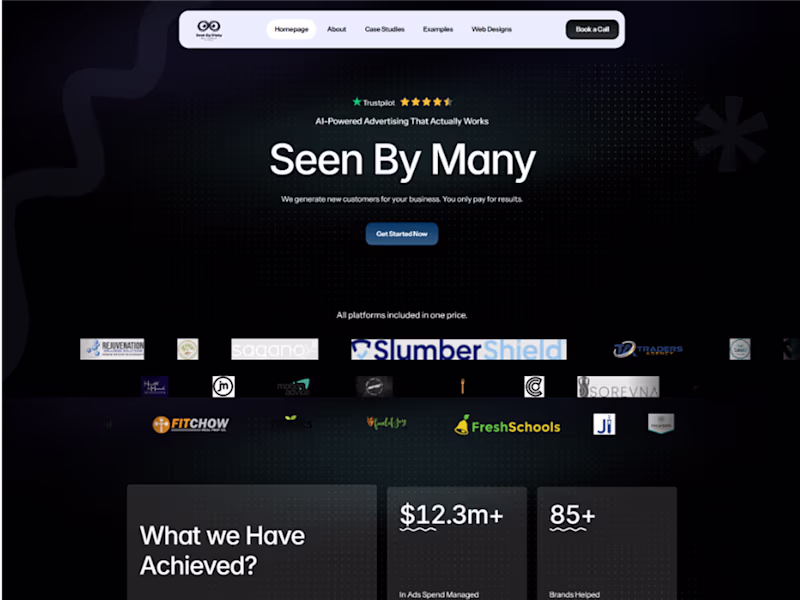 Cover image for Seen By Many