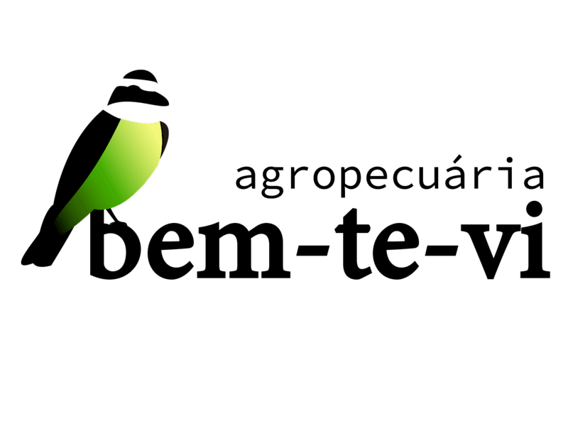 Cover image for Brand Logo and Visual Identity Revamp