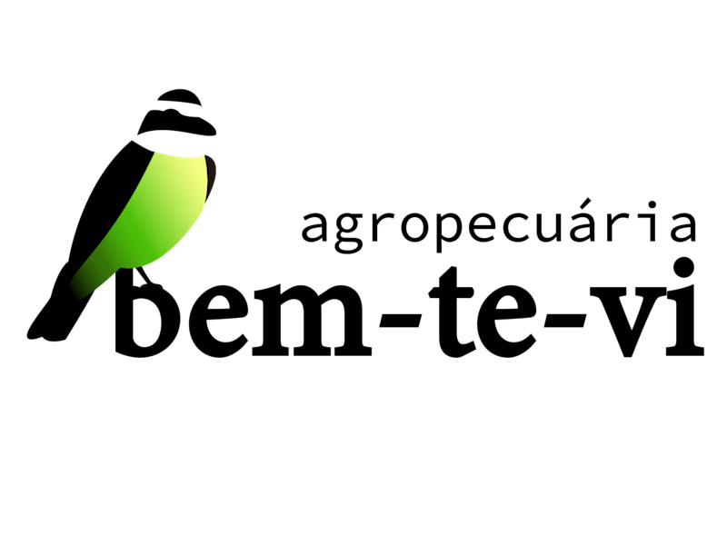 Cover image for Brand Logo and Visual Identity Revamp