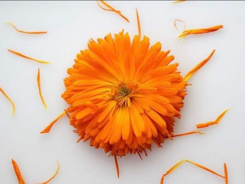 Cover image for Educative posts on Skincare and Wellness.