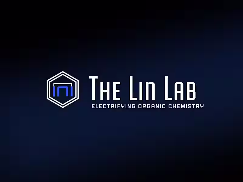 Cover image for Sanity CMS + Next JS