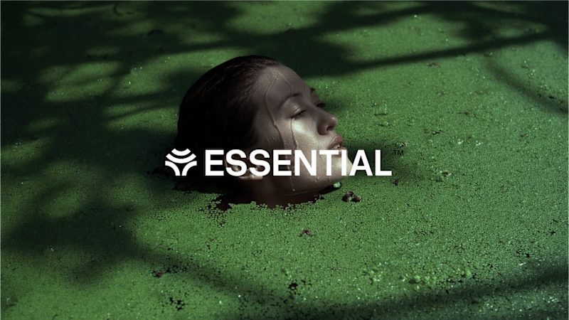 Cover image for Brand Identity Design for Essential